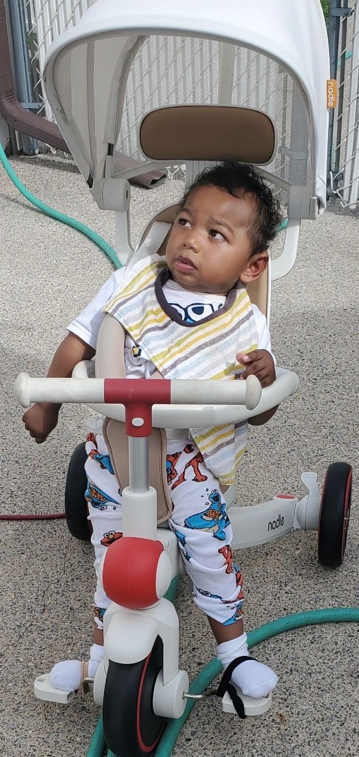 Head Mobility & Outdoor Movement